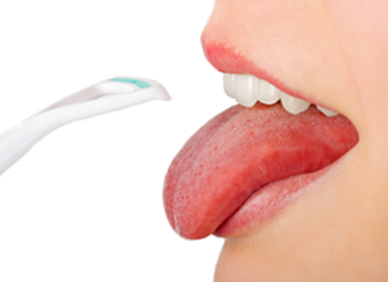 Profile view of a tongue scraper and extended tongue.
